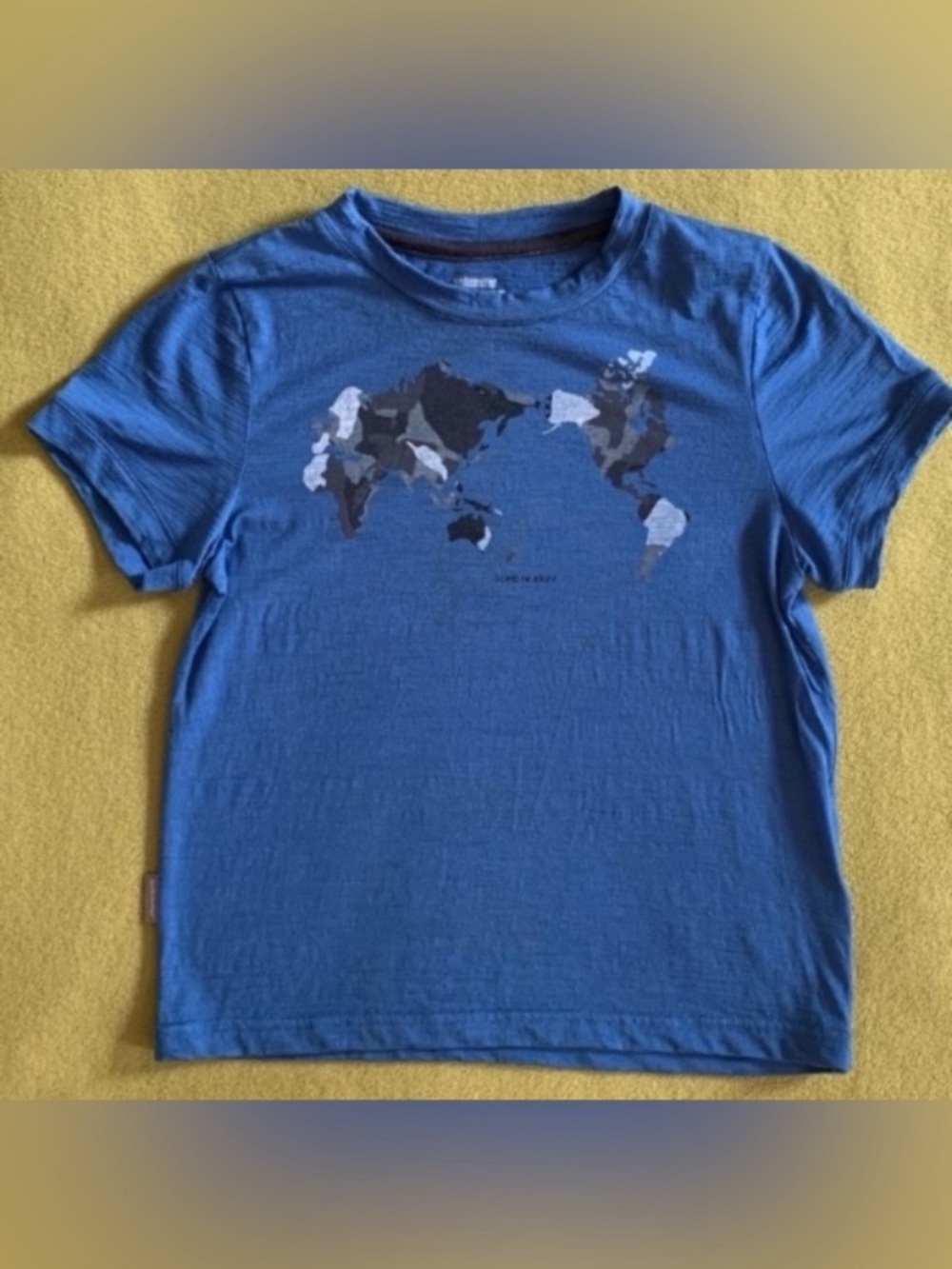 Flawed Icebreaker Kids' Merino Wool Graphic Tee - World Map